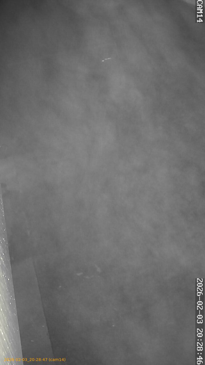 thumbnail_20260203202847