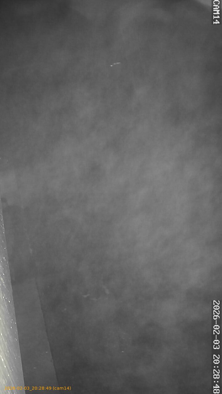 thumbnail_20260203202849