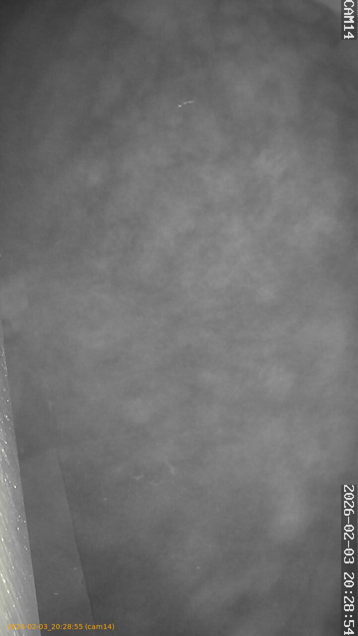 thumbnail_20260203202855