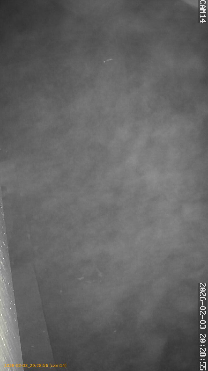 thumbnail_20260203202856