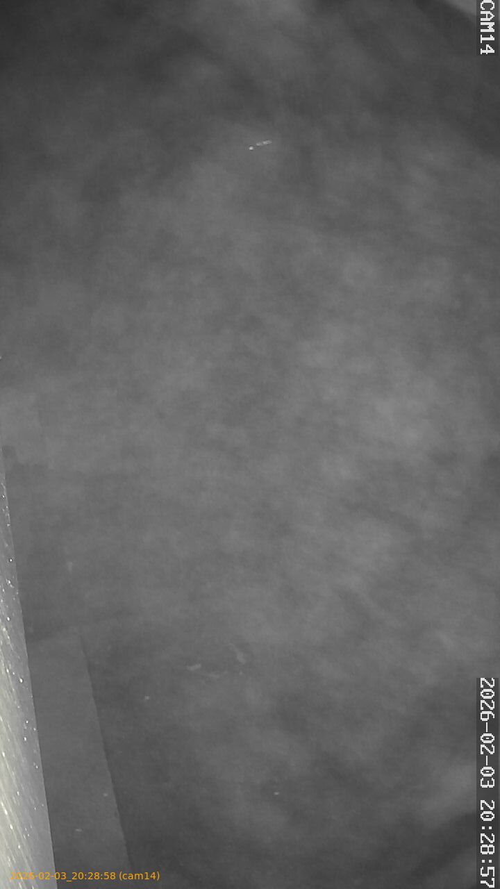 thumbnail_20260203202858