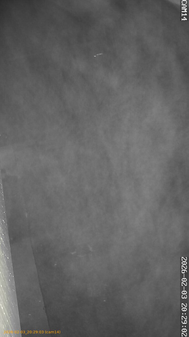 thumbnail_20260203202903