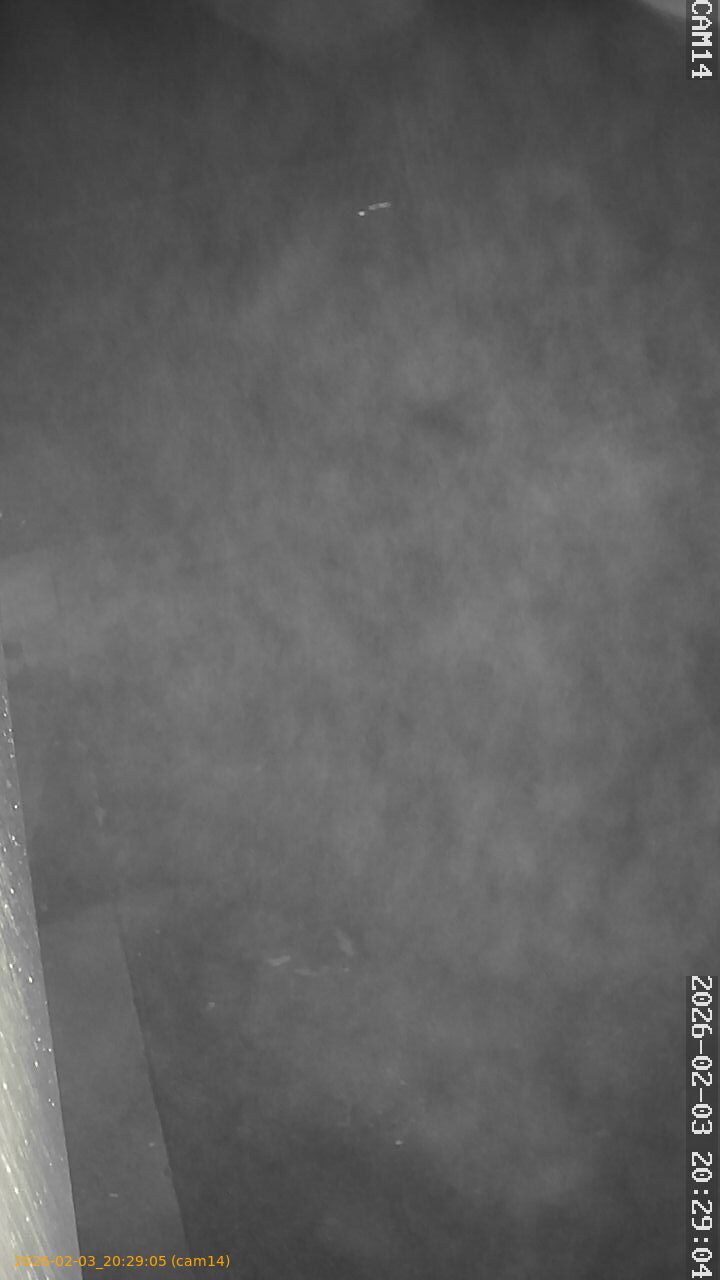 thumbnail_20260203202905