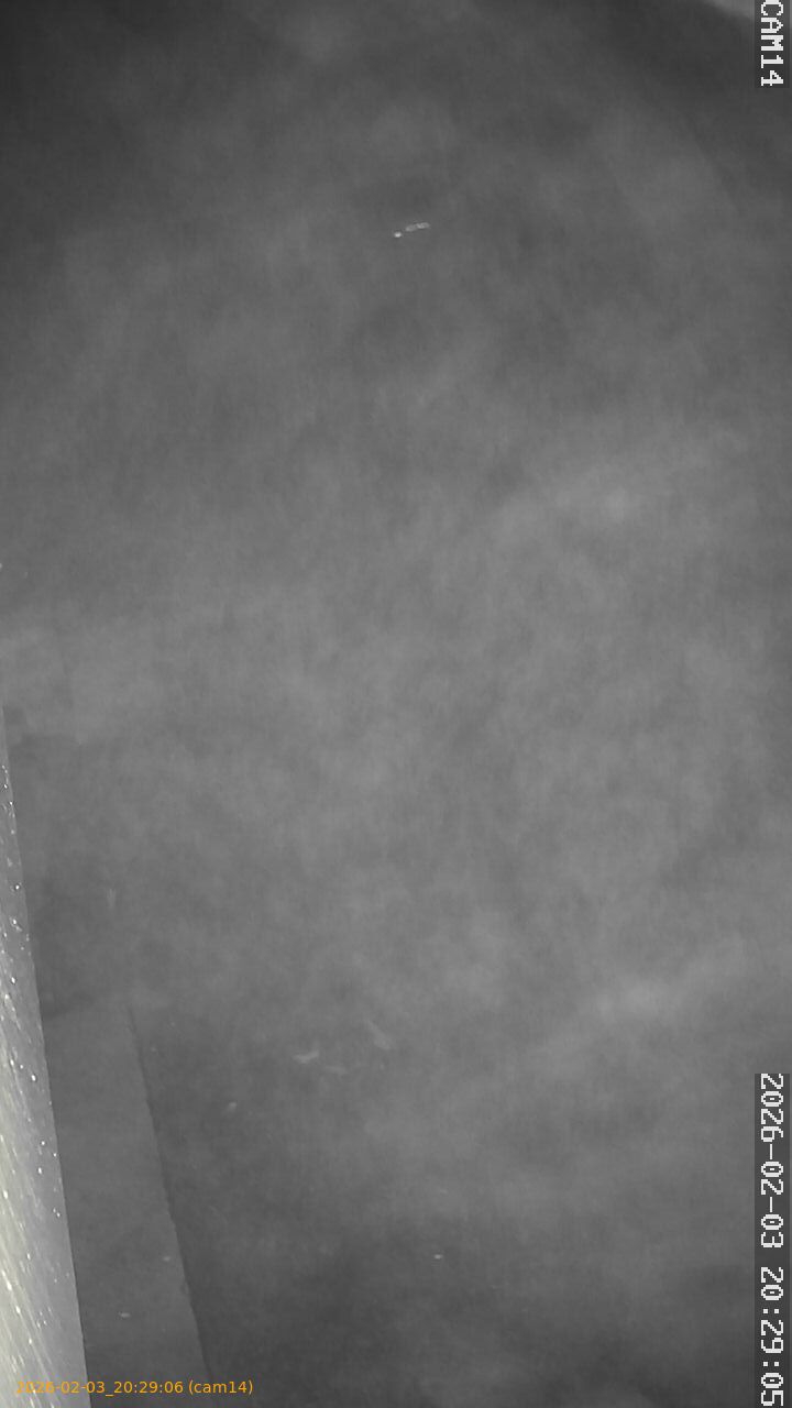 thumbnail_20260203202906