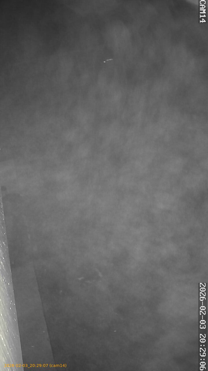 thumbnail_20260203202907