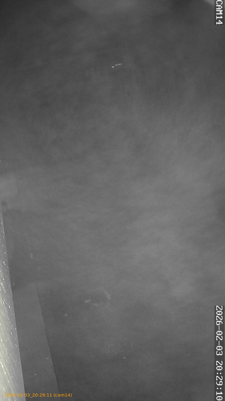 thumbnail_20260203202911