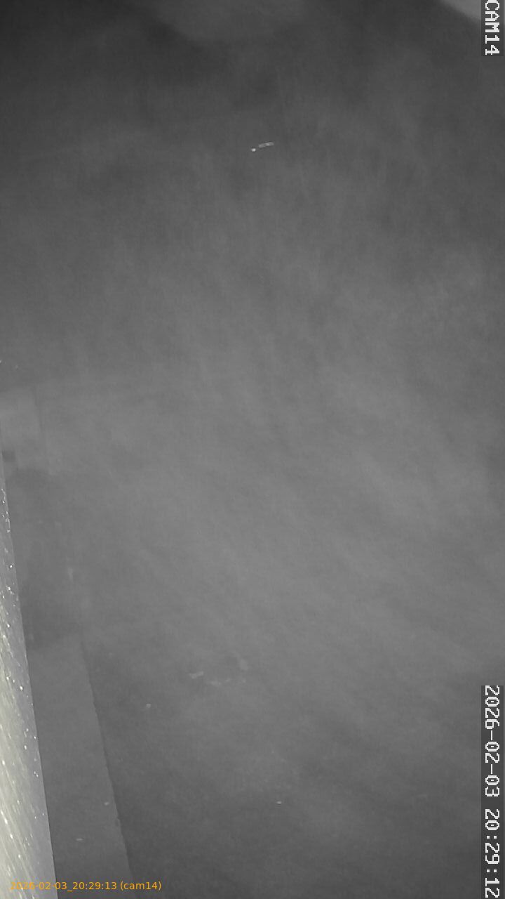 thumbnail_20260203202913