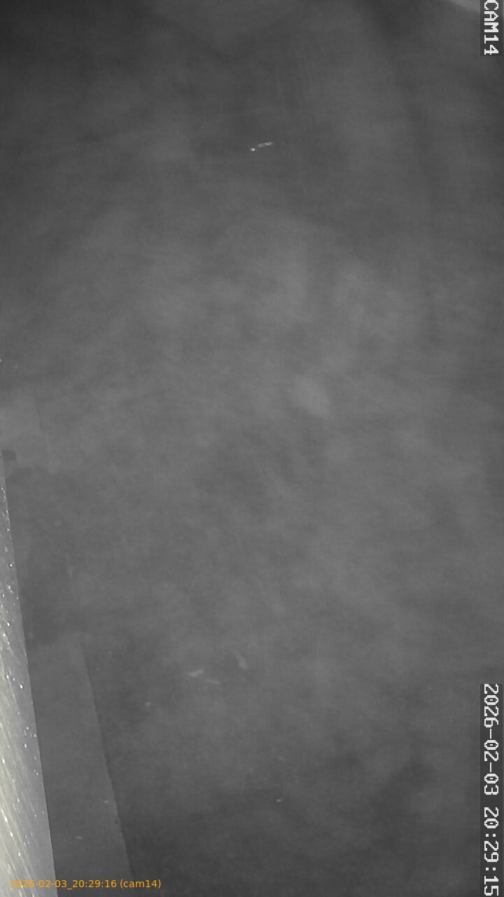 thumbnail_20260203202916