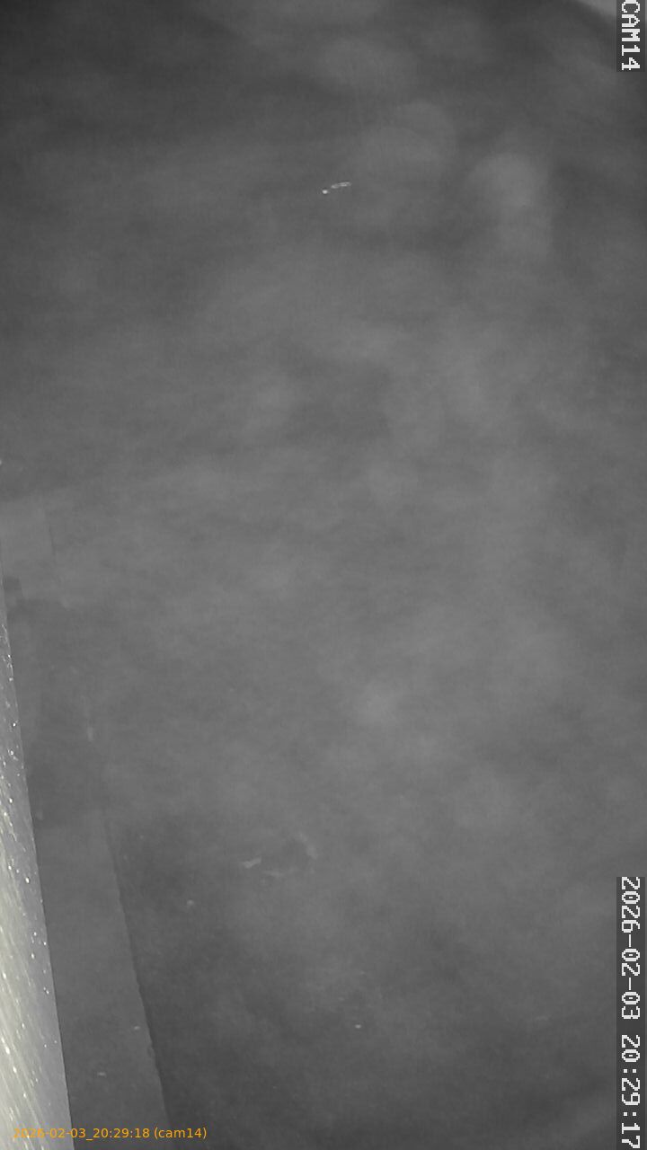 thumbnail_20260203202918