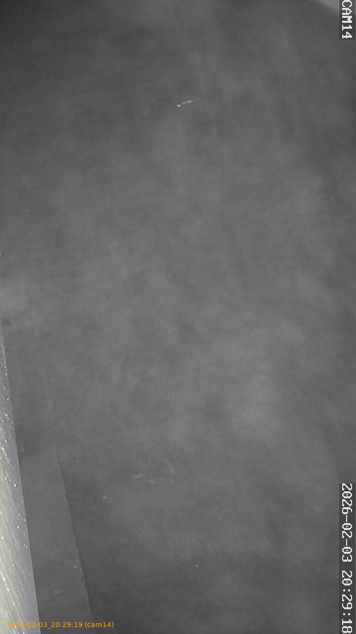 thumbnail_20260203202919