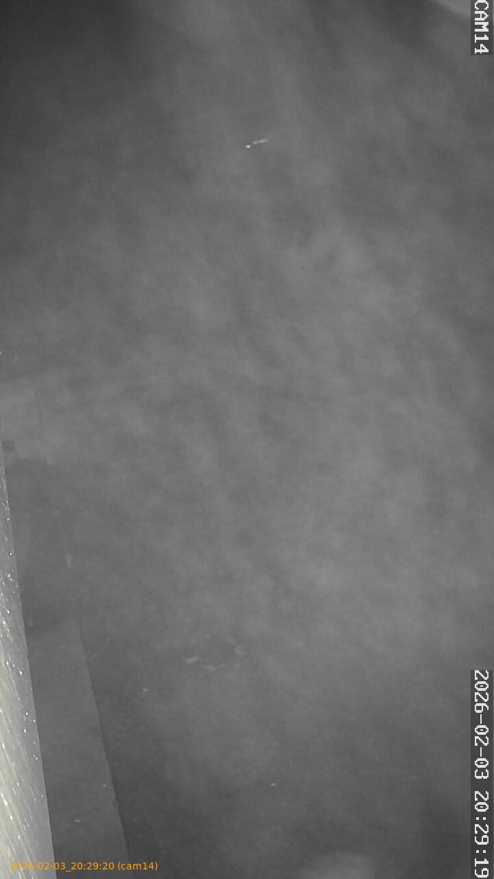 thumbnail_20260203202920