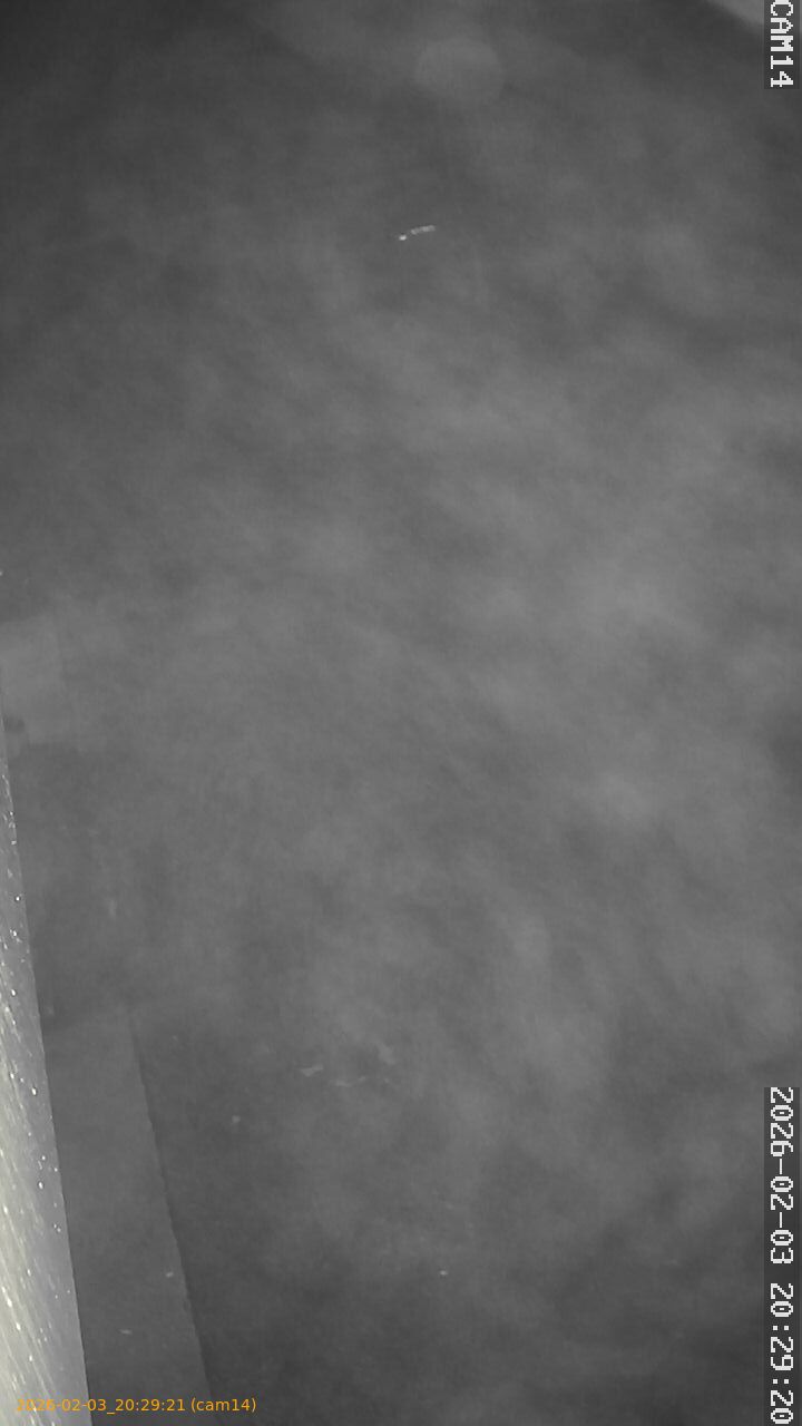 thumbnail_20260203202921