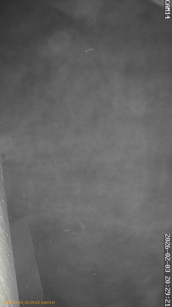 thumbnail_20260203202922