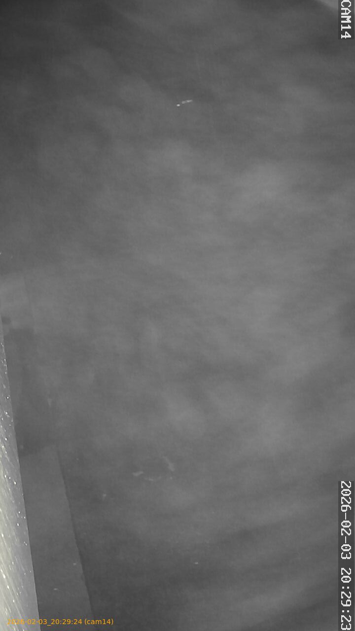 thumbnail_20260203202924