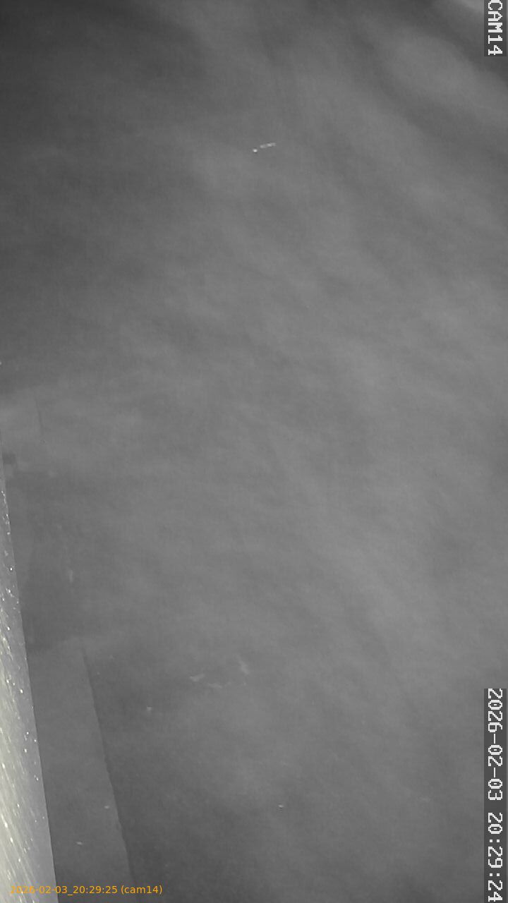 thumbnail_20260203202925