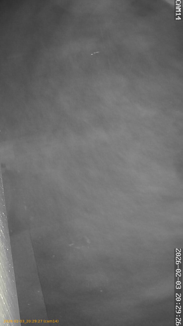 thumbnail_20260203202927