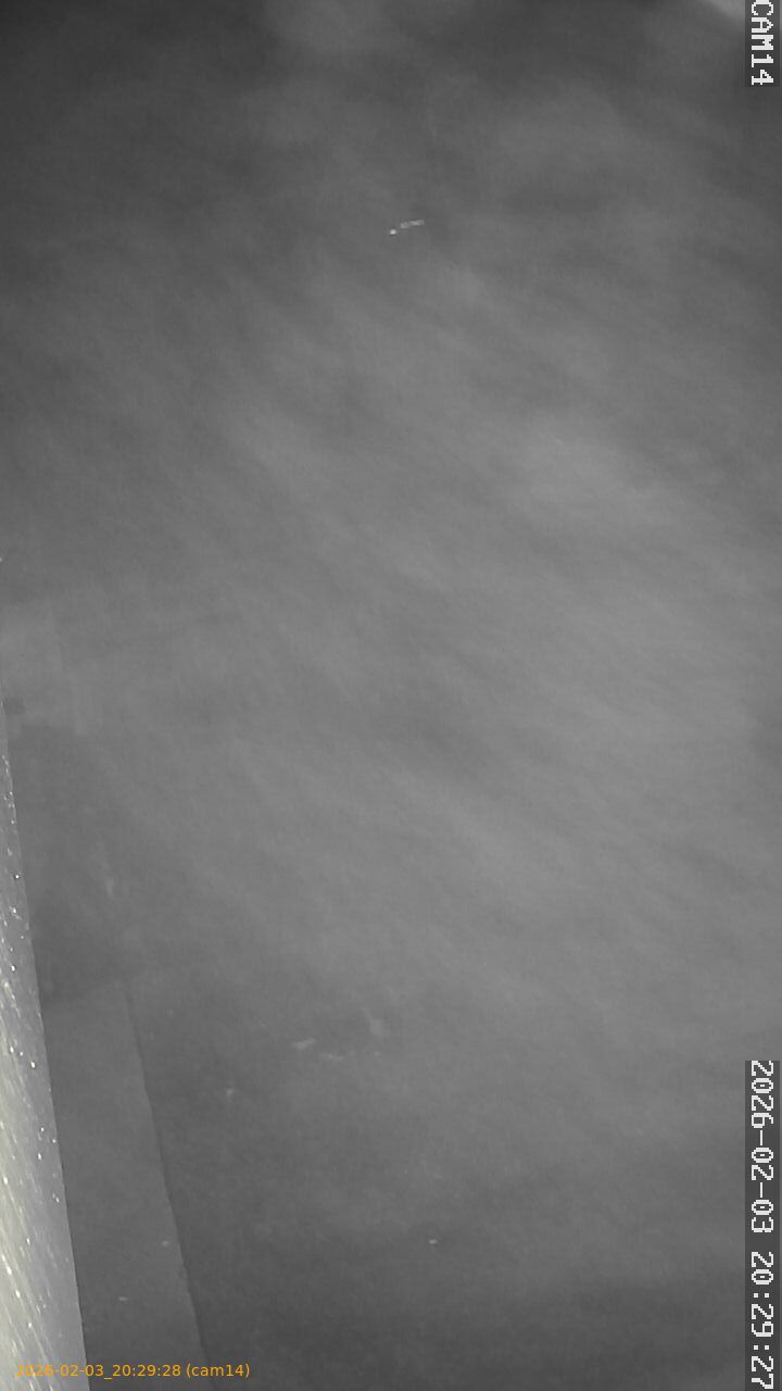 thumbnail_20260203202928