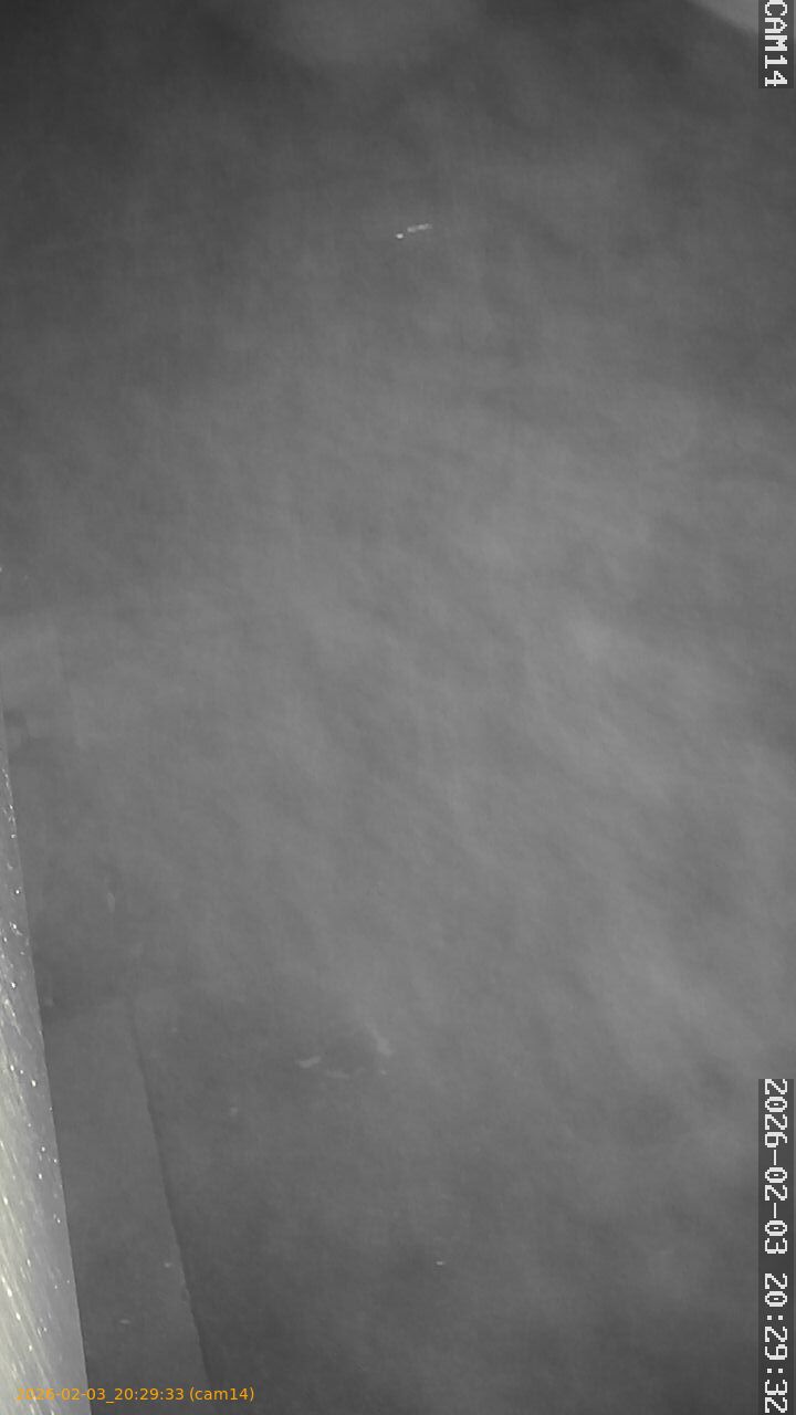 thumbnail_20260203202933