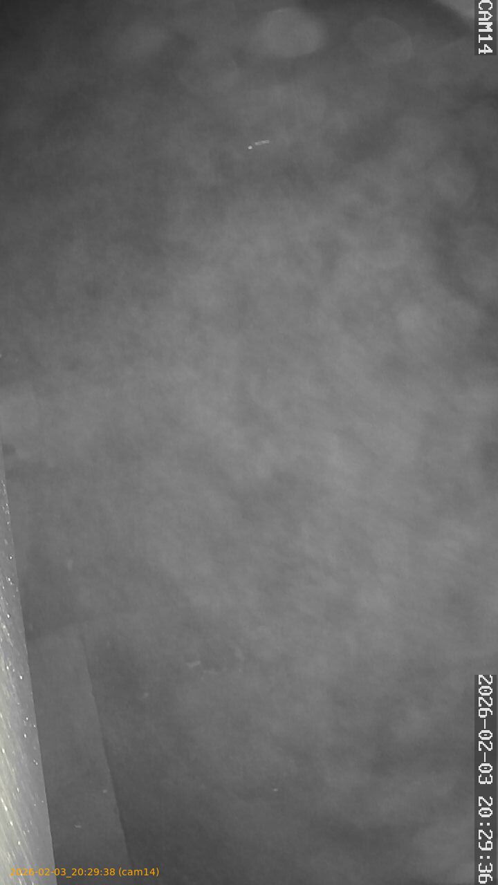 thumbnail_20260203202937