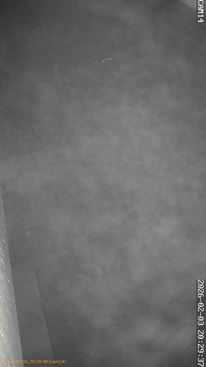 thumbnail_20260203202938