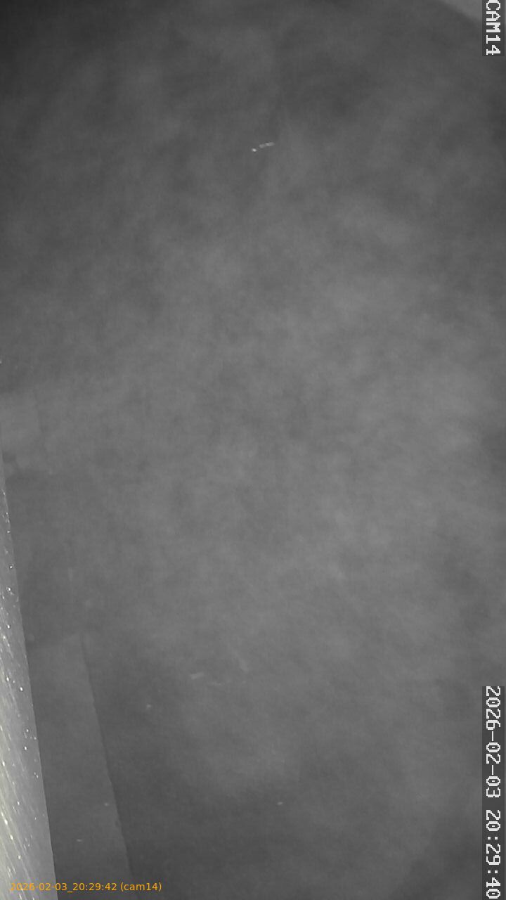 thumbnail_20260203202941