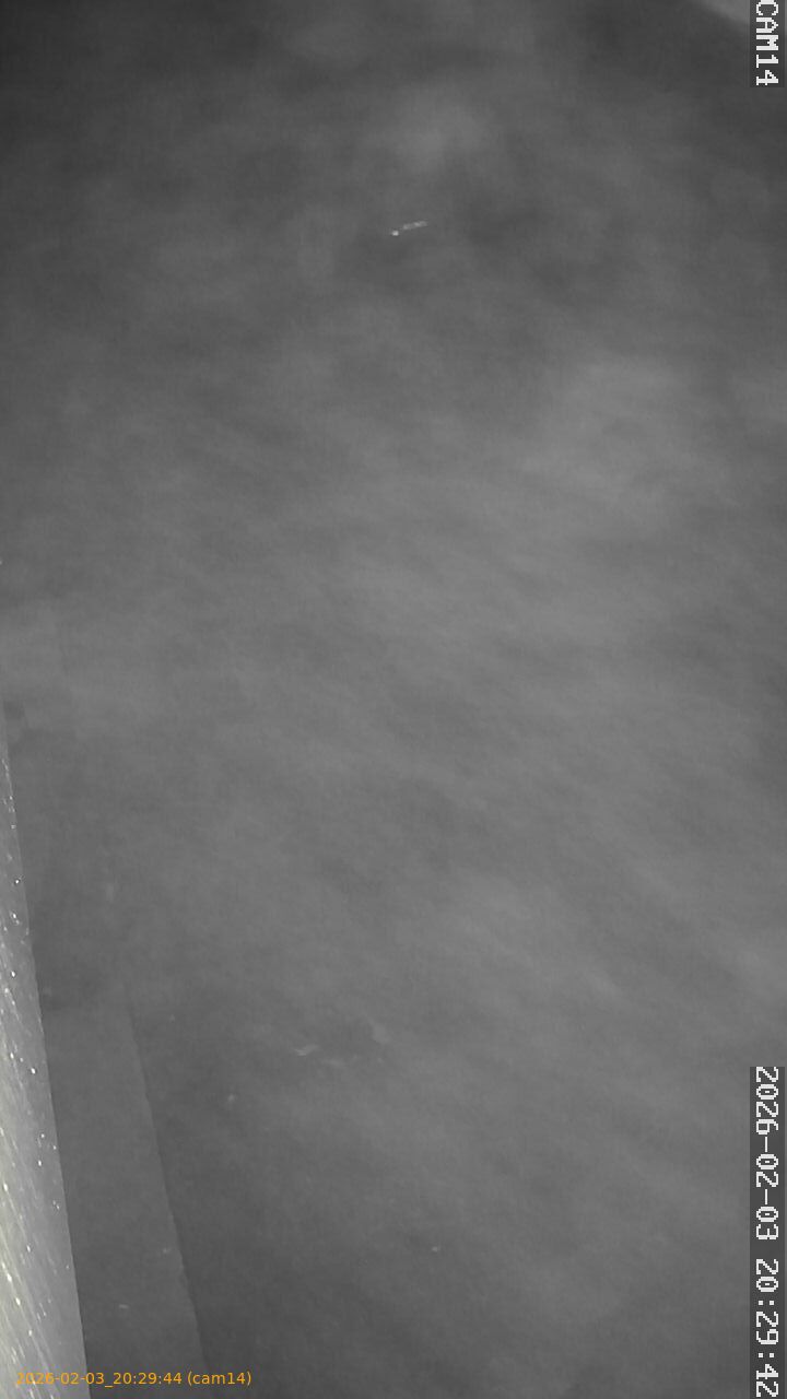 thumbnail_20260203202943