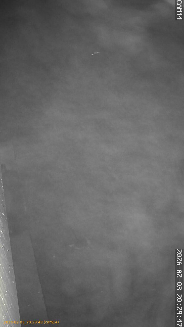 thumbnail_20260203202949