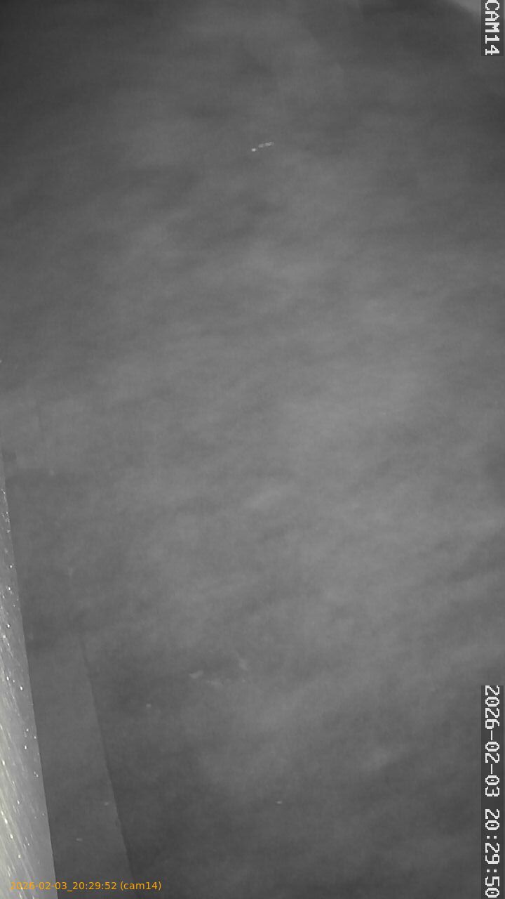 thumbnail_20260203202952