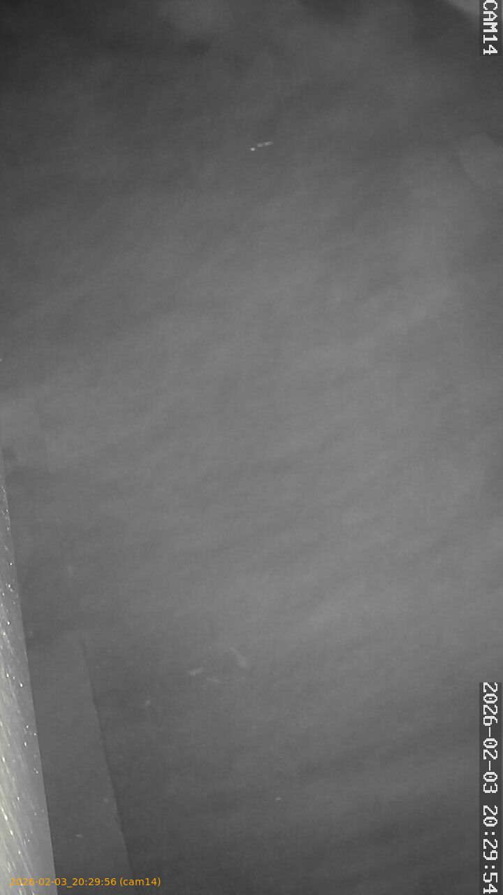 thumbnail_20260203202956