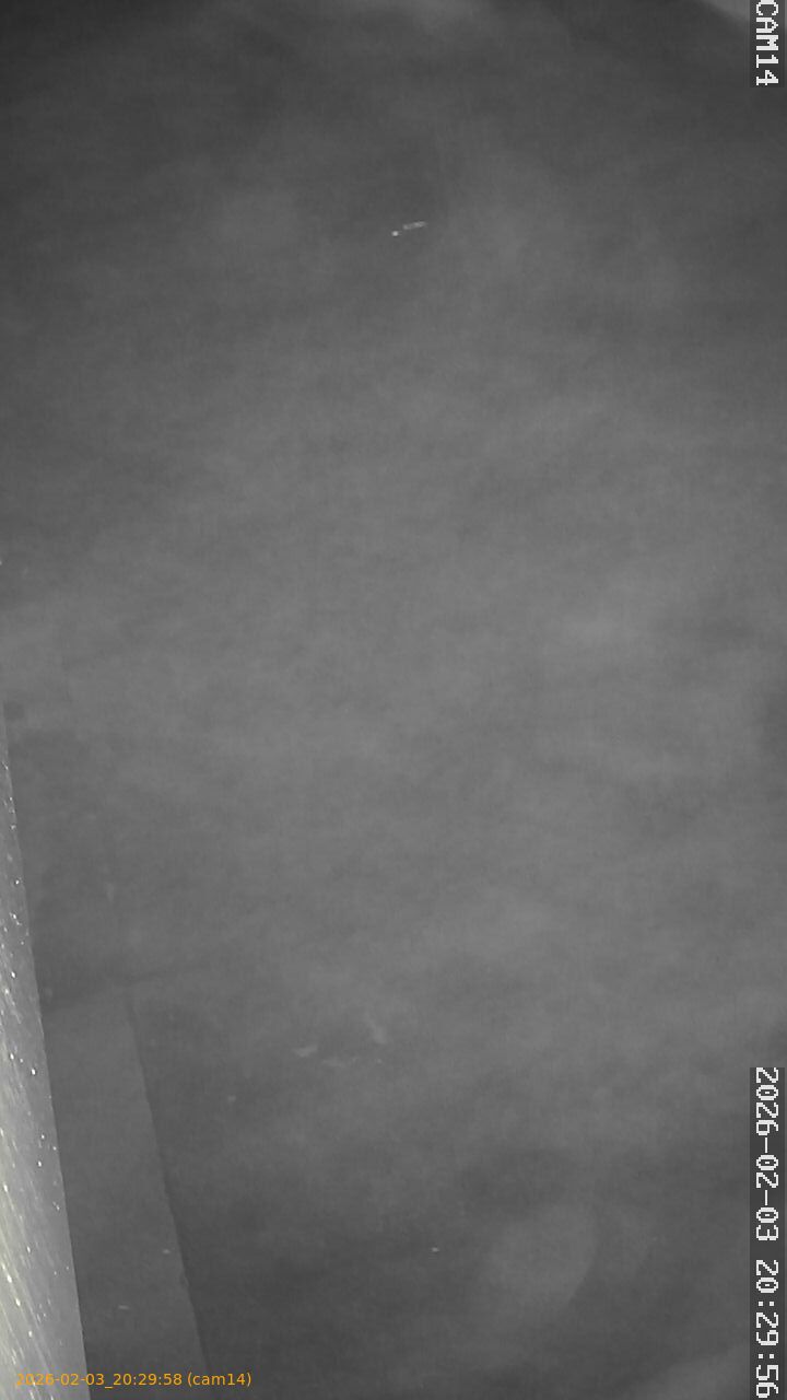 thumbnail_20260203202958