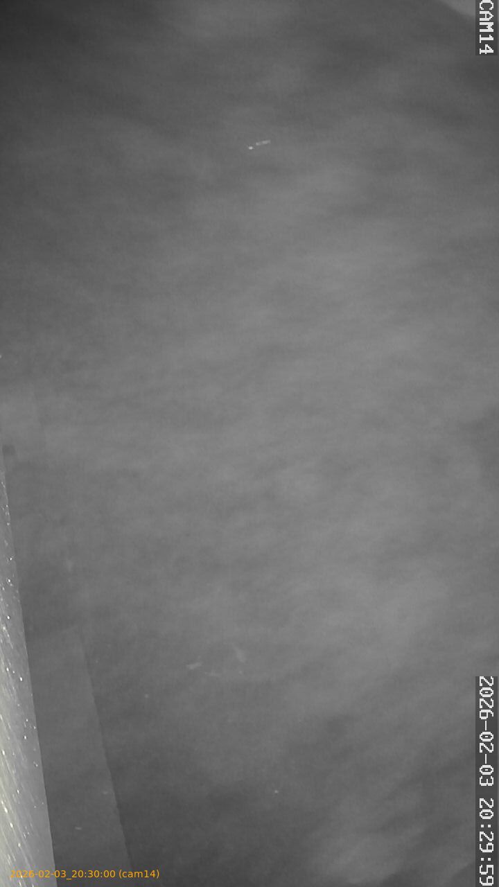 thumbnail_20260203203000