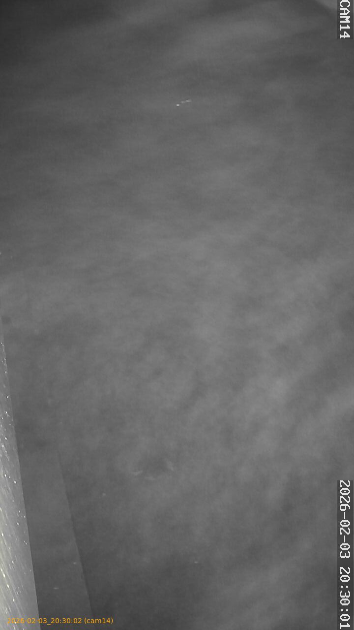 thumbnail_20260203203002