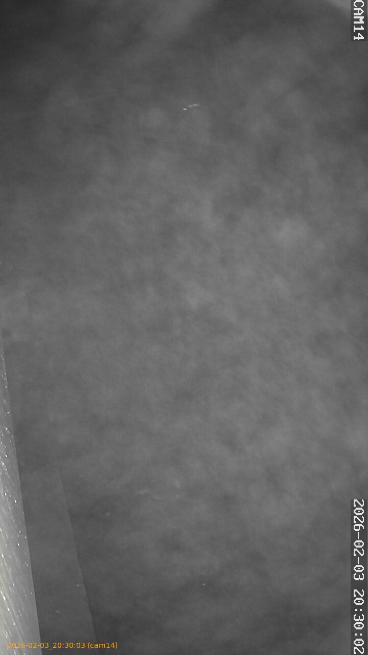 thumbnail_20260203203003