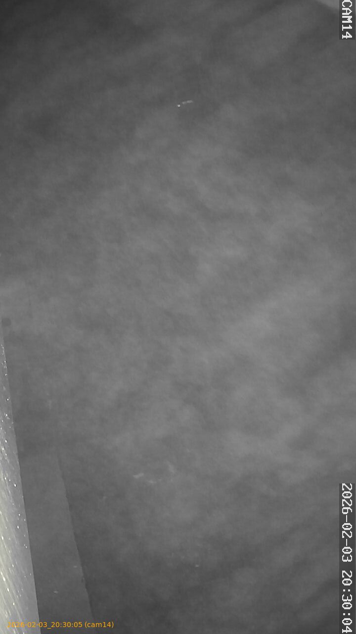 thumbnail_20260203203005