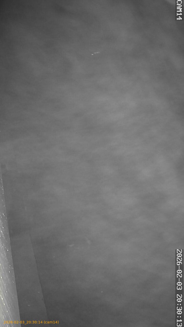 thumbnail_20260203203014