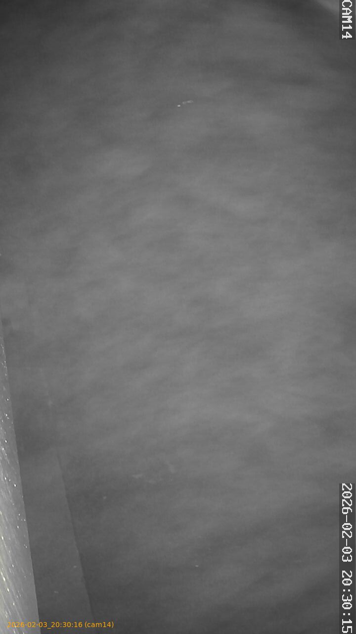 thumbnail_20260203203016