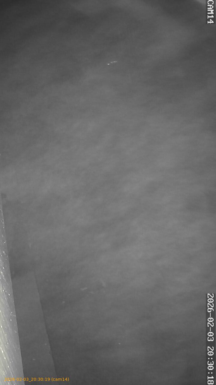 thumbnail_20260203203019