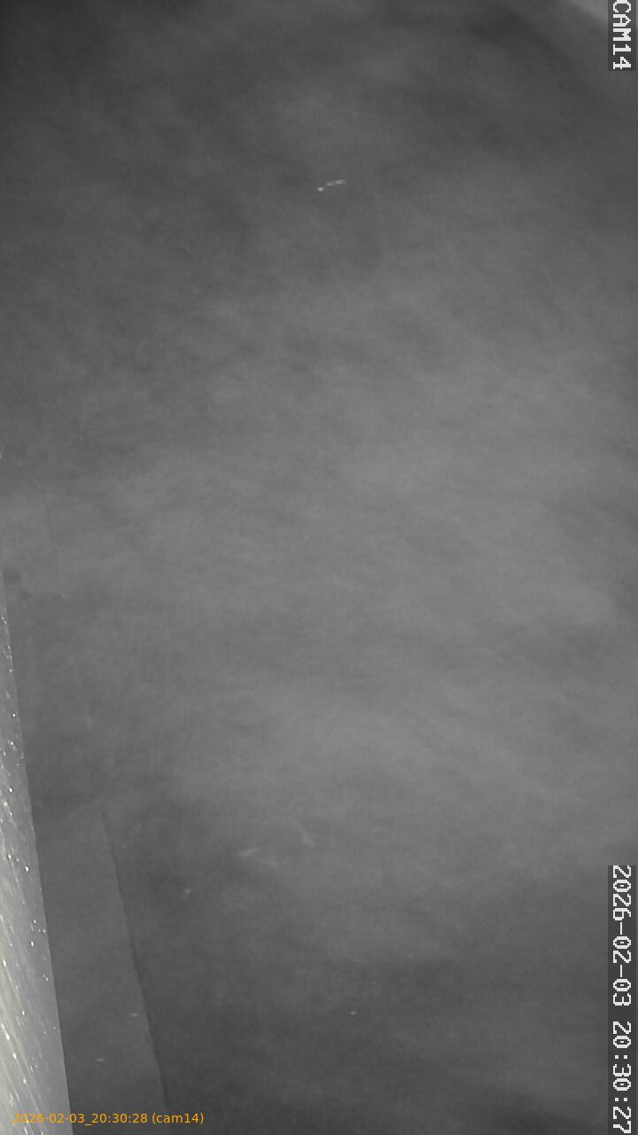 thumbnail_20260203203028