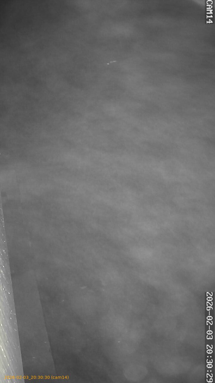 thumbnail_20260203203030