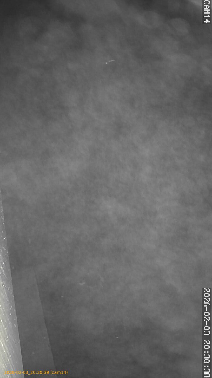 thumbnail_20260203203039