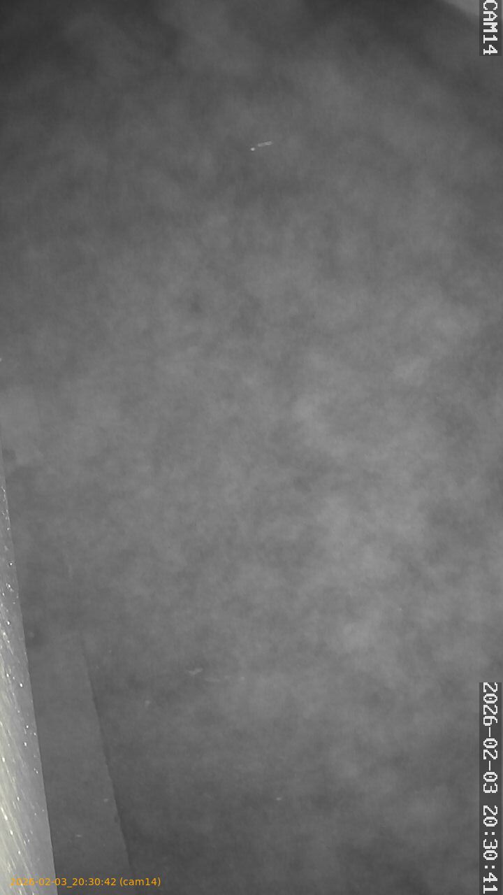 thumbnail_20260203203042