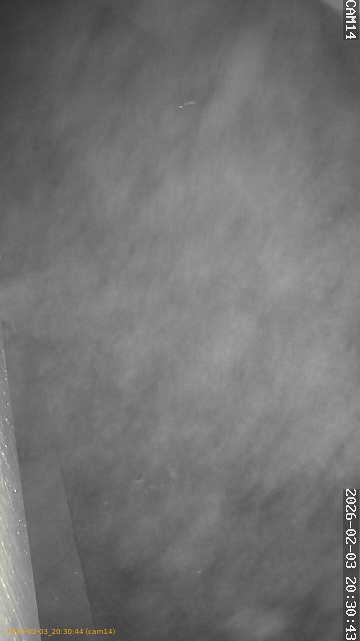 thumbnail_20260203203044