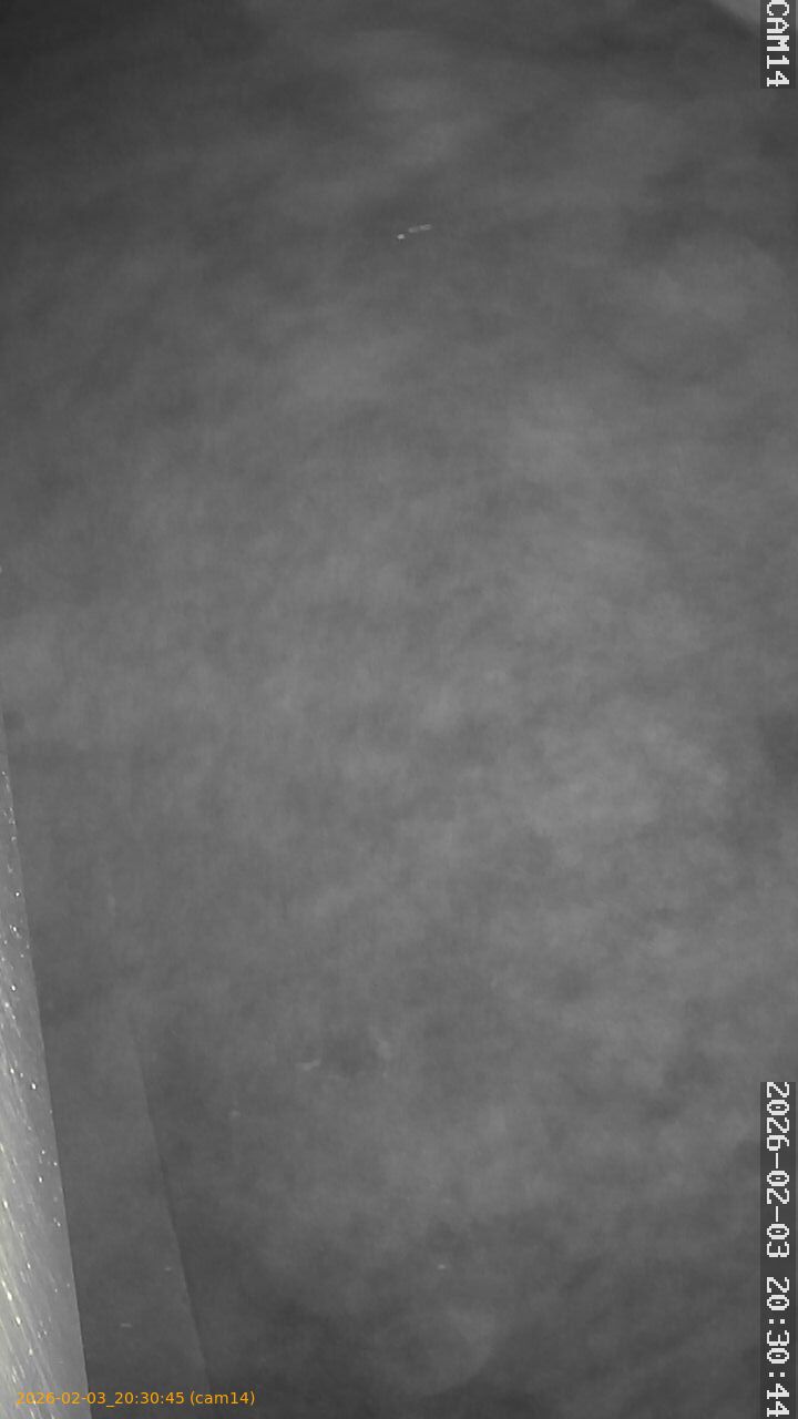 thumbnail_20260203203045