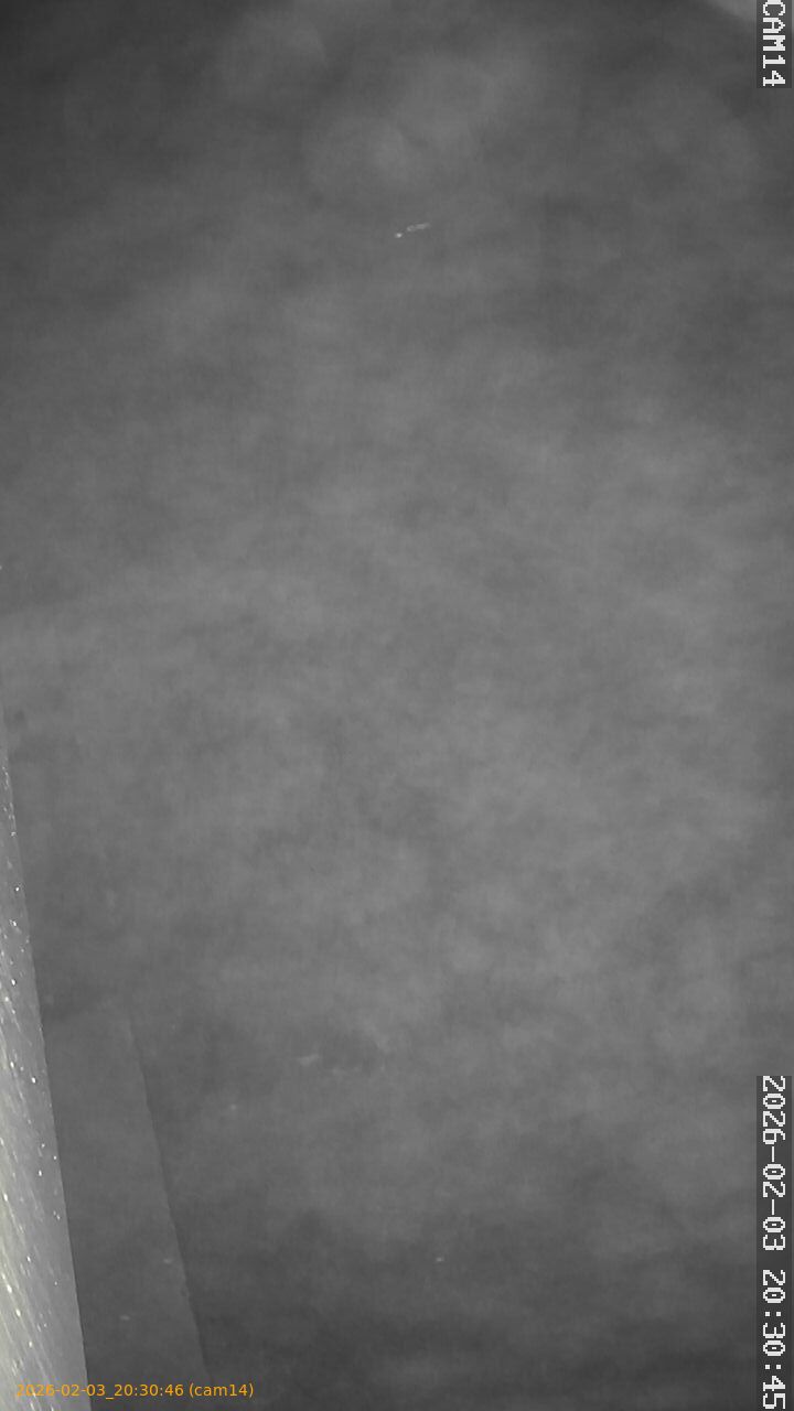 thumbnail_20260203203046