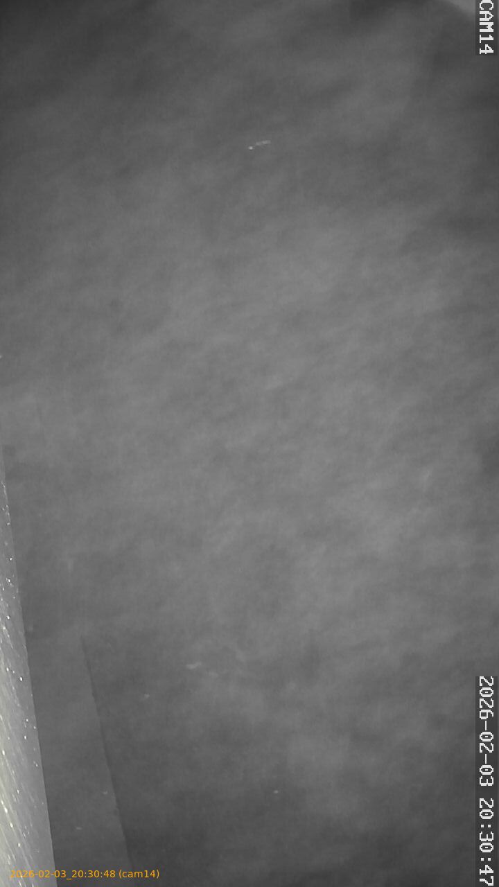 thumbnail_20260203203048