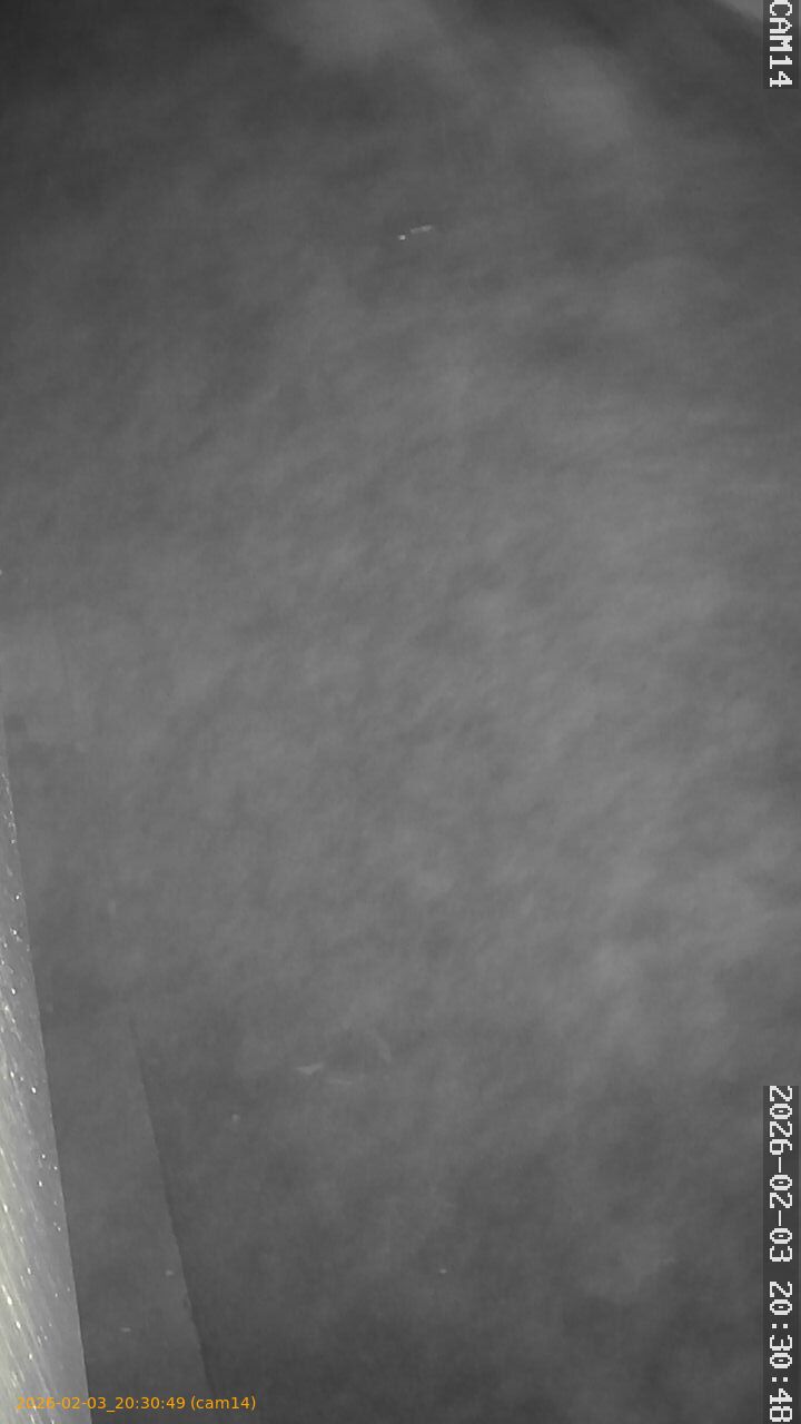 thumbnail_20260203203049