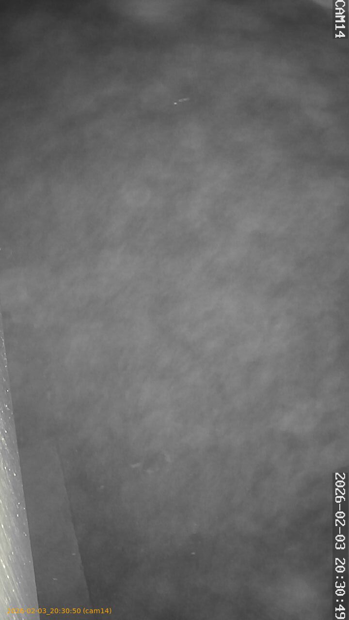 thumbnail_20260203203050