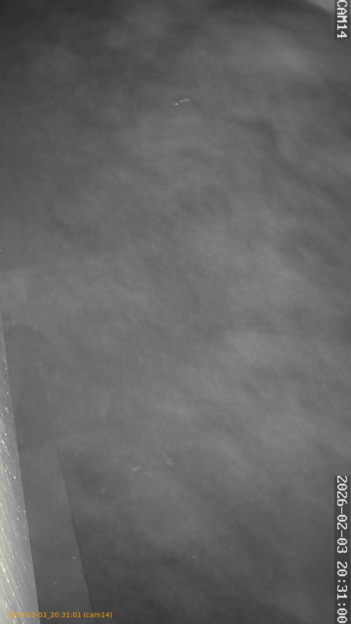 thumbnail_20260203203101