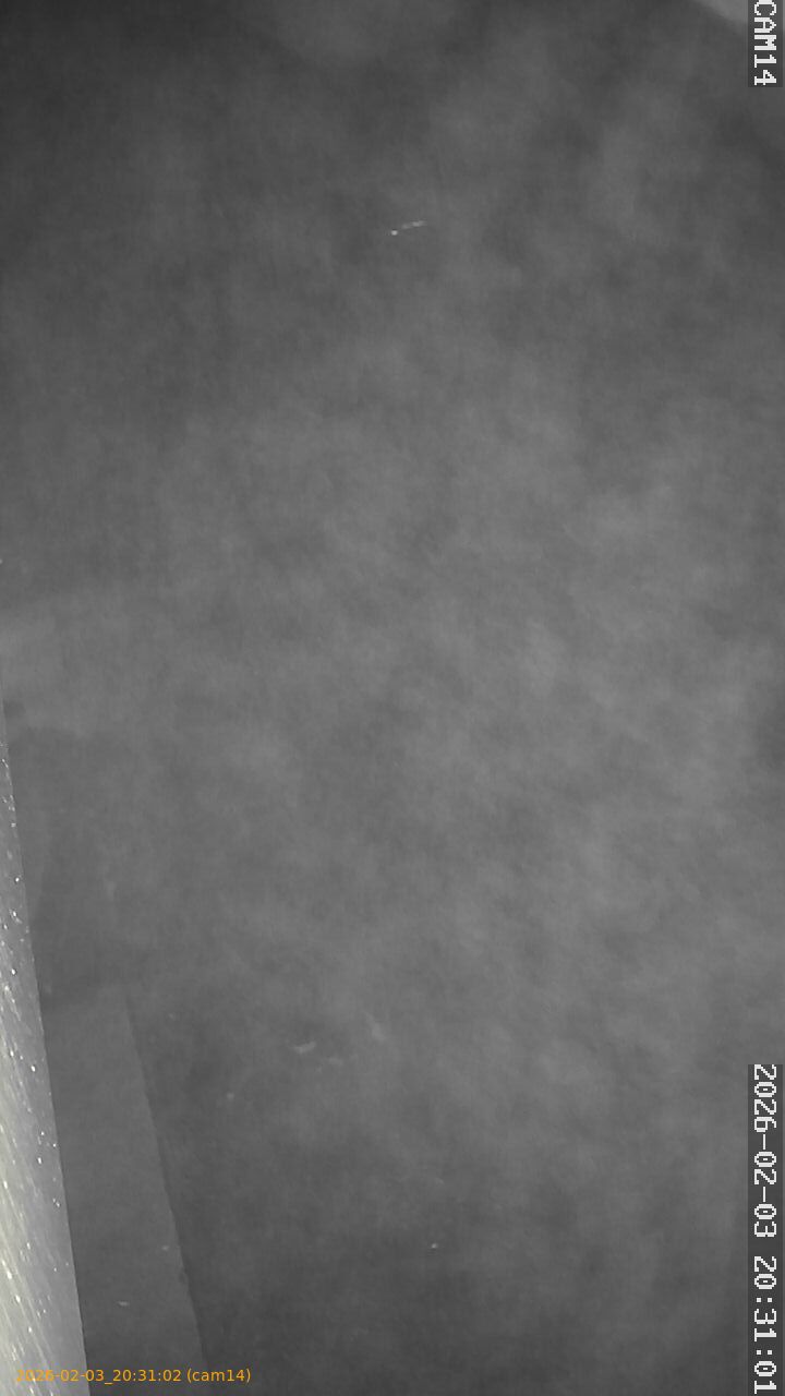 thumbnail_20260203203102