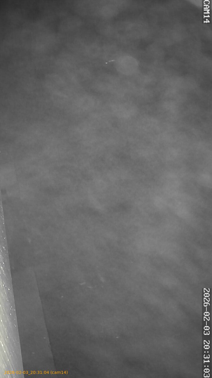 thumbnail_20260203203104